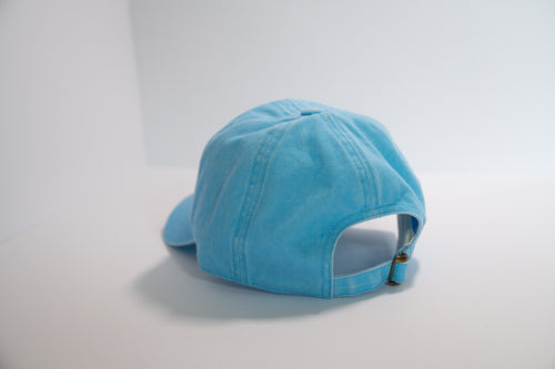 Boogies Logo Dad Cap